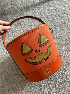 Coach pumpkin leather bucket